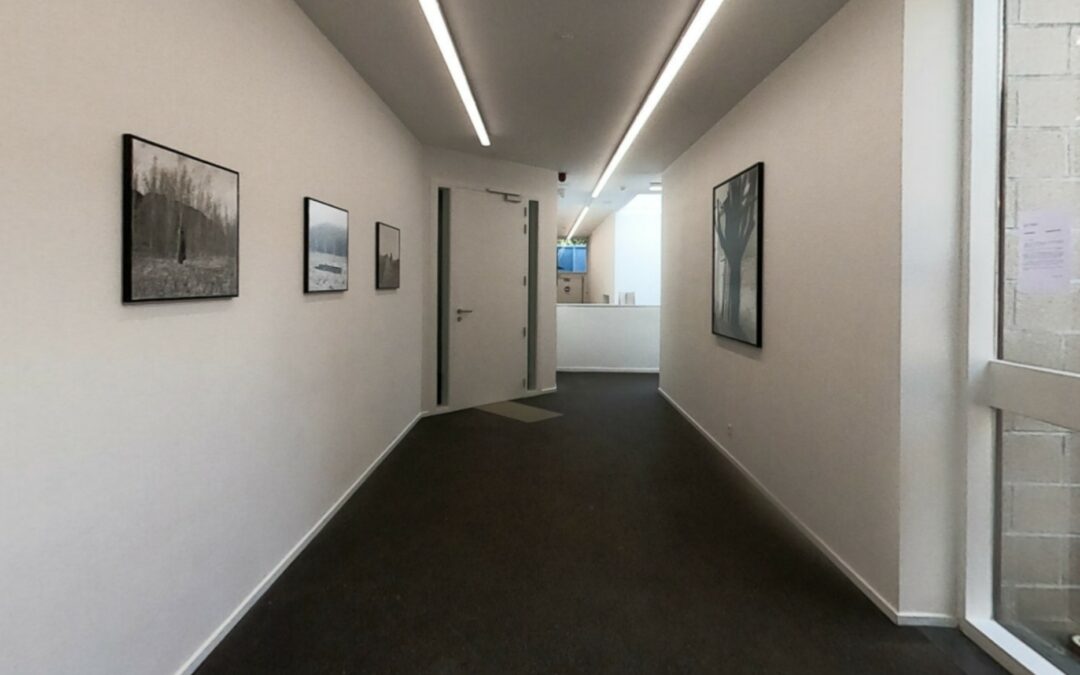 Visite virtuelle de l’exposition de Christophe Buekenhoudt
