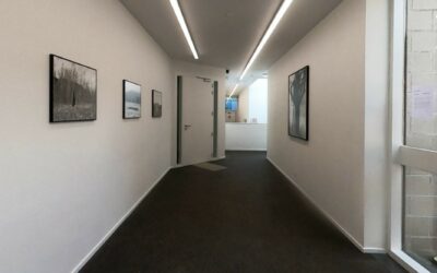 Visite virtuelle de l&rsquo;exposition de Christophe Buekenhoudt