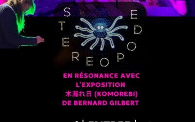 Invitation au concert des Stéréopode au CAC Détour